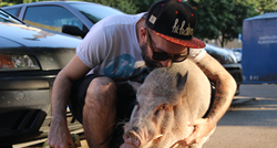 Ovaj Zagrepčanin živi u stanu sa svinjom od 65 kila: "Spava sa mnom u krevetu"