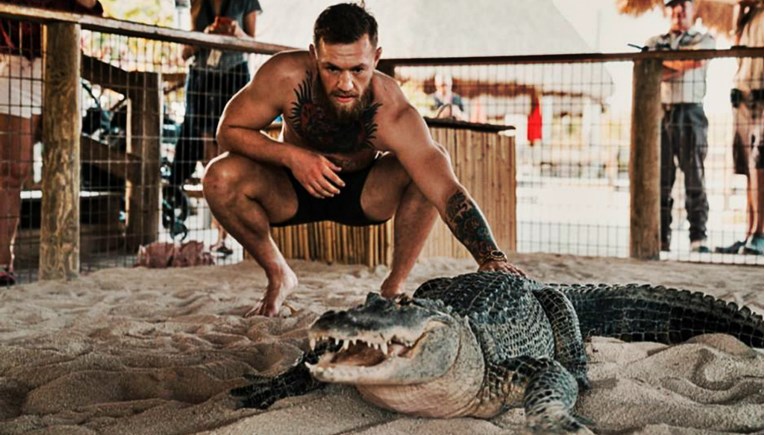 Ne može bez borbe: McGregor se hrvao s aligatorom