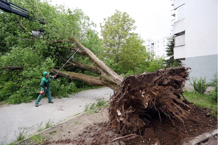 FOTO Jak vjetar u Karlovcu iščupao ogromno stablo, u Zagrebu rušio štandove