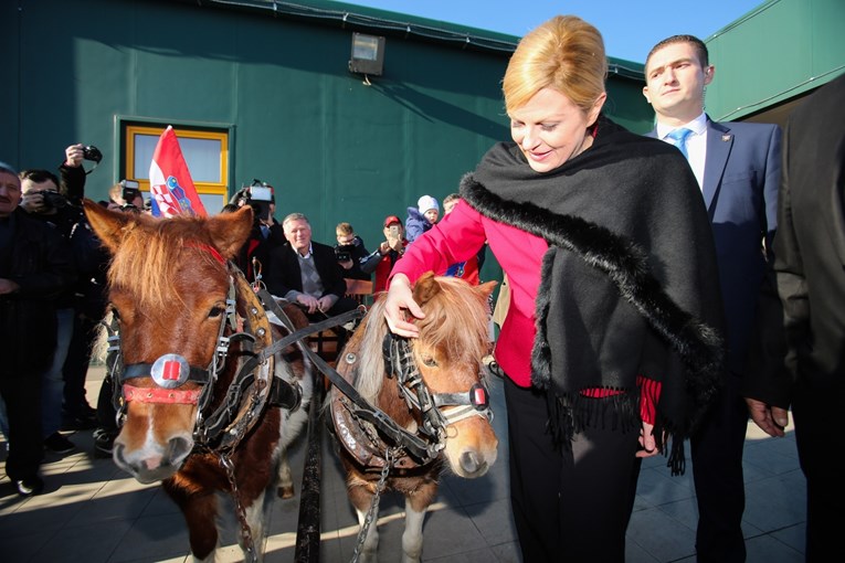 FOTO Kolinda je danas bila na skupštini uzgajivača konja