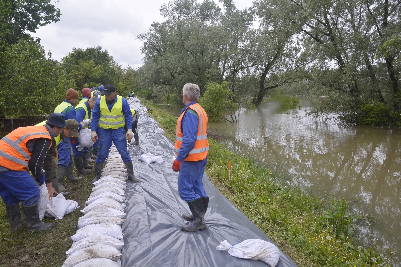 Sava kod Jasenovca stagnira, opasnost još nije prošla