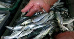 Ništa od drastične zabrane za hrvatske ribare, EU nije uspjela