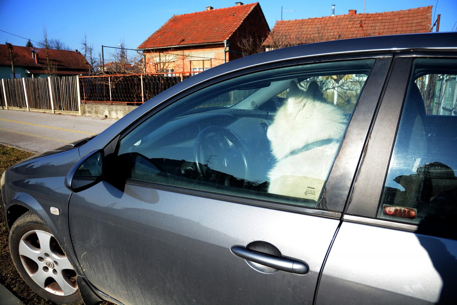 Koprivničane zbunio prizor na vozačevom sjedalu ovog automobila