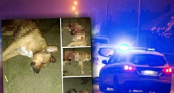 UZNEMIRUJUĆE Policajac službenim pištoljem ubio psa kod Vukovara