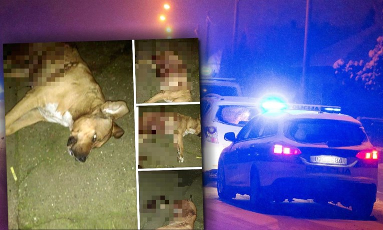 UZNEMIRUJUĆE Policajac službenim pištoljem ubio psa kod Vukovara