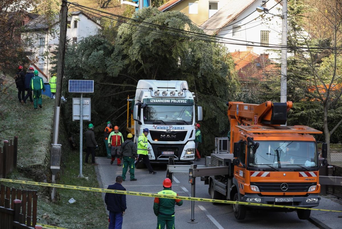 Zagrepčanin donirao 20-metarski bor iz svog dvorišta za Trg bana Jelačića