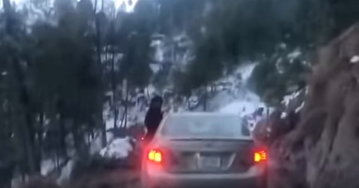 Suvozač omeo vozača, pa sletjeli u provaliju