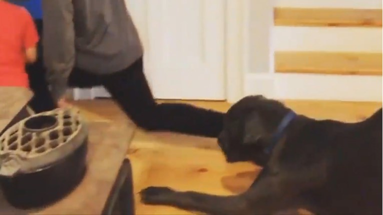 VIDEO Ovaj pas oponaša svog vlasnika na poseban način