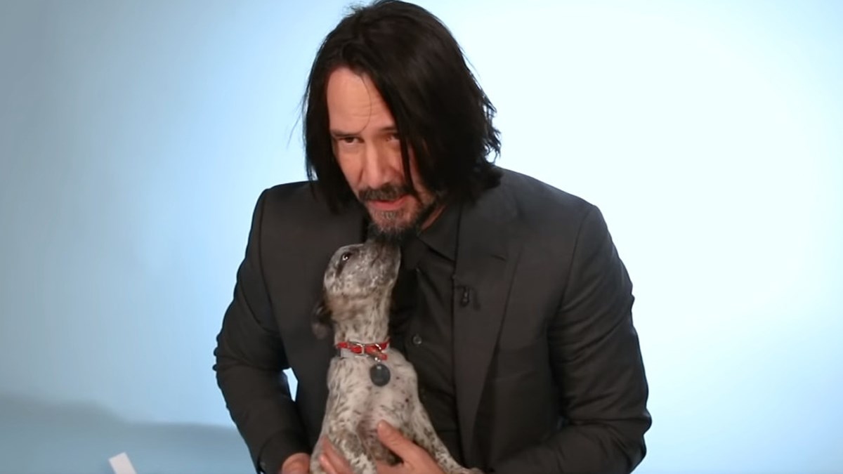 Keanu Reeves obožava pse, a ovaj intervju je dao okružen slatkim štencima
