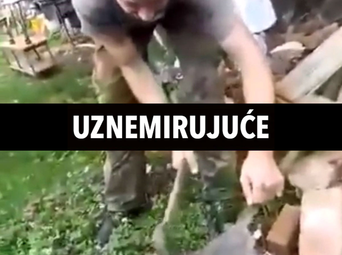 Širi se snimka ubijanja mačića u Slavoniji, o svemu se oglasila policija