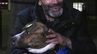 VIDEO Predivna povezanost psa i beskućnika daje im snagu za novi dan