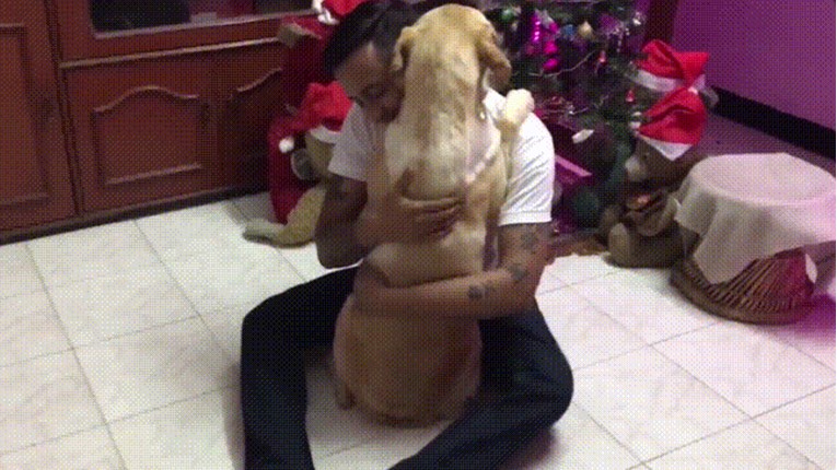 VIDEO Uplašeni pas zna da će ga njegov čovjek utješiti kada mu bude najteže