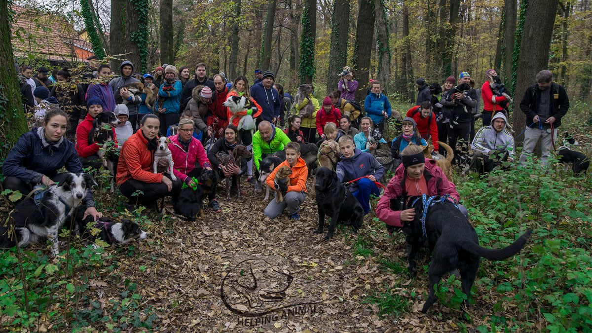 Canicross je okupio 85 sudionika i 87 pasa. Pridružite im se sljedeći vikend