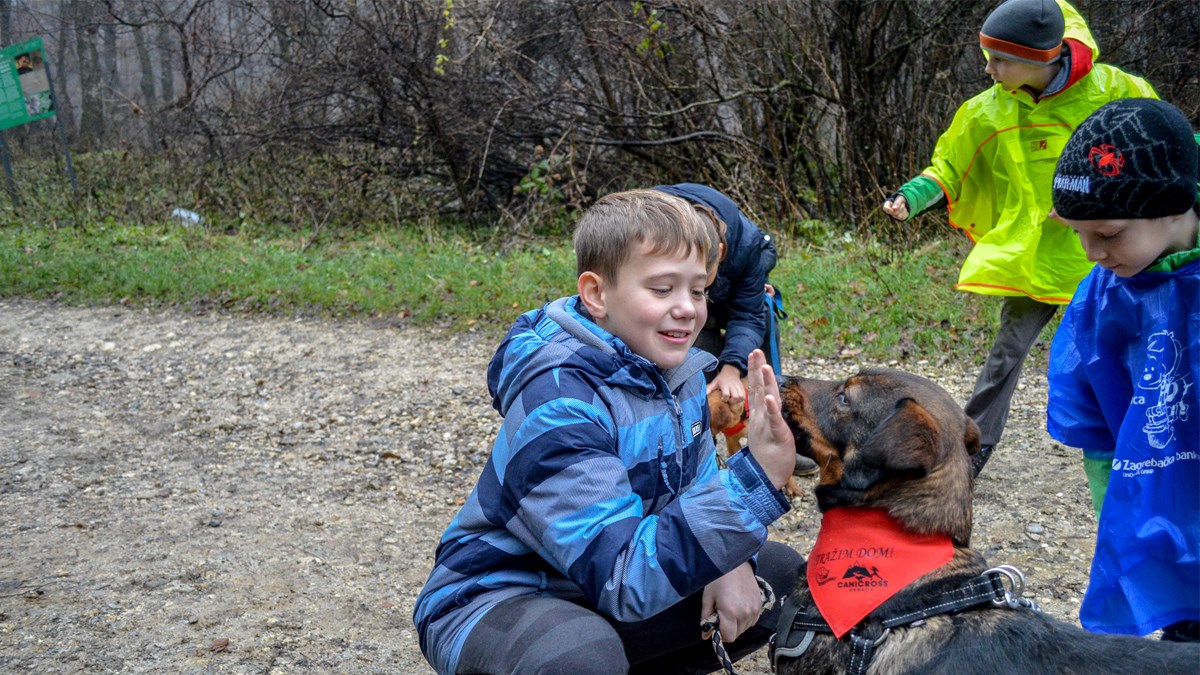 Ljubitelji životinja trče svaki vikend u Zagrebu sa psima unatoč vremenu