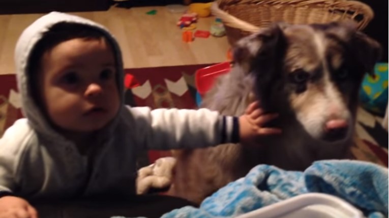VIDEO Pokušala je potkupiti bebu hranom, a najpotkupljiviji bio je - pas