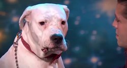 VIDEO Ovaj pas obožava pjevati, a čak se i natjecao za najbolji talent