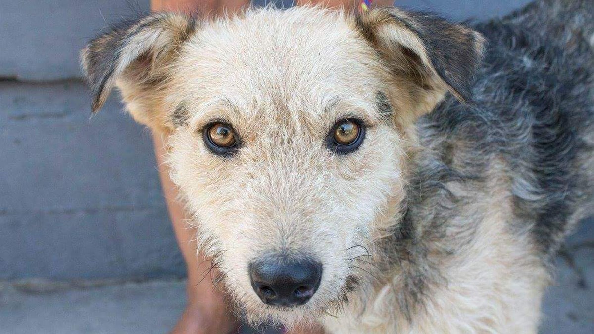 On je jedan od stanovnika azila u Osijeku koji predugo čeka na svoju obitelj