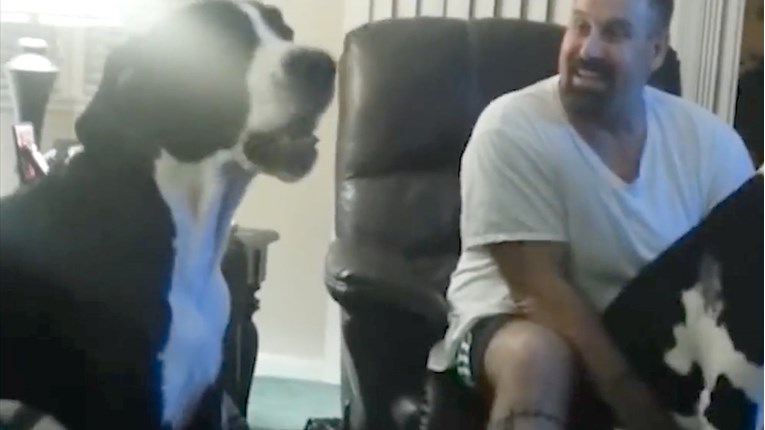 VIDEO Ljubomorni pas se buni kada ne dobiva dovoljno pažnje