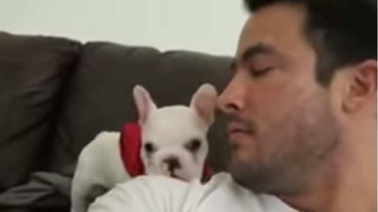 VIDEO Ovaj mali pas ne zna podnijeti kompliment. Pogledajte njegovu reakciju