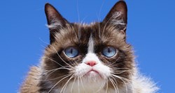 Poznata mačka Grumpy Cat je uginula i ostavila puno tužnih fanova