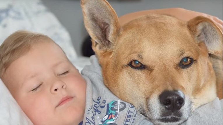 VIDEO Najbolji prijatelj malog dječaka je pas kojeg su spasili iz skloništa