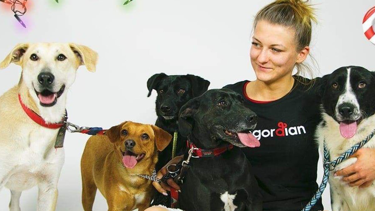 Pogledajte jedinstveni adventski kalendar i pronađite si novog prijatelja