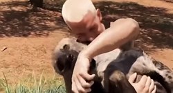 VIDEO Hijene se smatraju lošim životinjama, no ova će vam promijeniti mišljenje