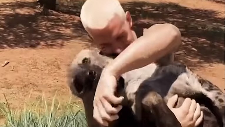 VIDEO Hijene se smatraju lošim životinjama, no ova će vam promijeniti mišljenje