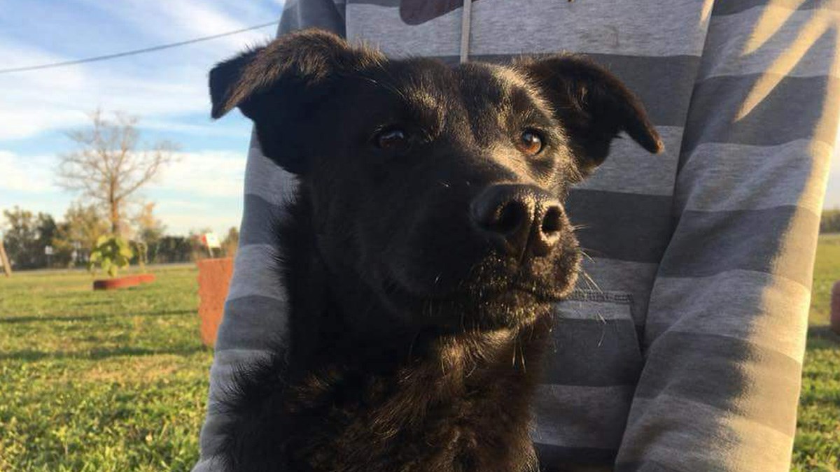 Zima se bliži, a za prekrasnu Hindu nitko ne pita