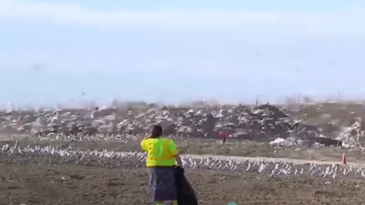 VIDEO Sudac u Ohiju kaznio zlostavljače životinja nevjerojatnom kaznom