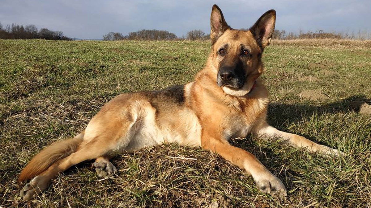 Laru su napustili kada joj je bilo najteže i hitno treba novu obitelj
