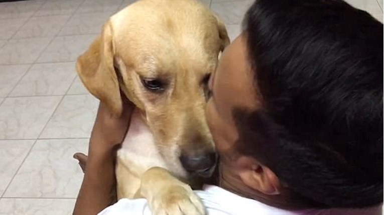 VIDEO Uplašeni pas zna da će ga njegov čovjek utješiti kada mu je najteže