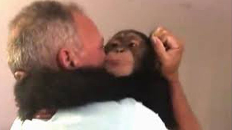 VIDEO Pogledajte reakciju majmuna kada je vidio čovjeka koji ga je spasio