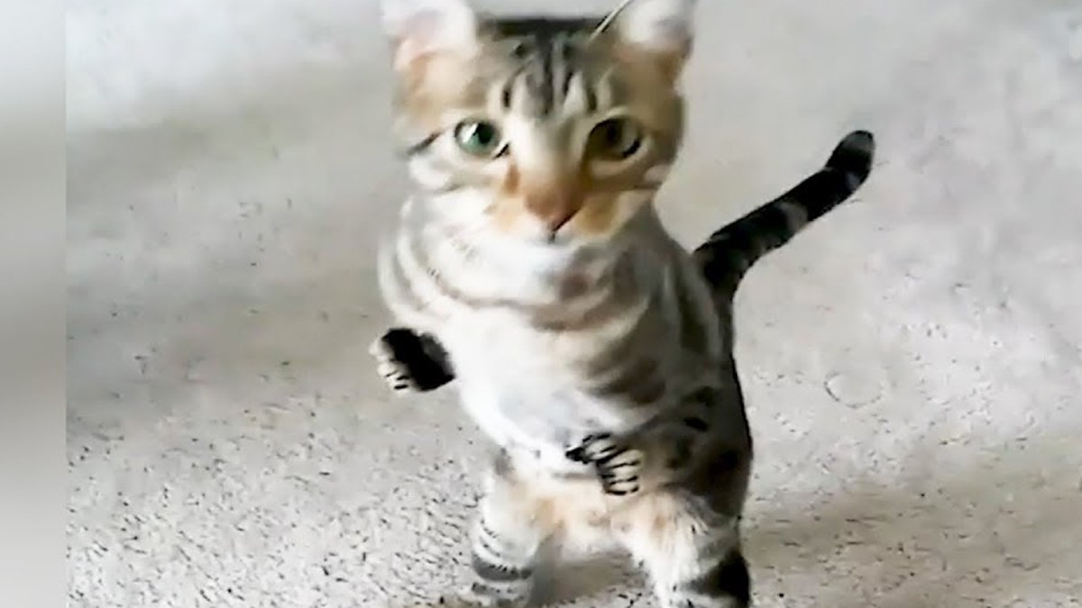 Ovako izgleda kada uživate u životu i ne dozvoljavate da vas išta spriječi