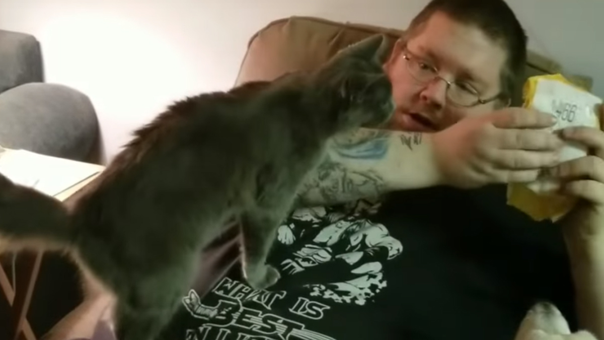 VIDEO Ovaj mačak obožava raditi nešto što je zabranjeno