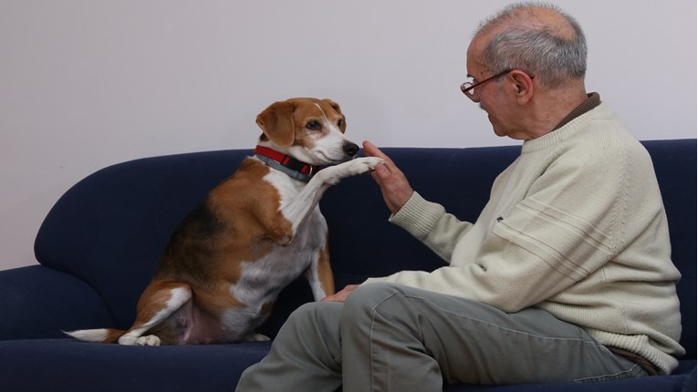 U pomoć osobama oboljelim od Alzheimera uključili se i psi iz Zagreba