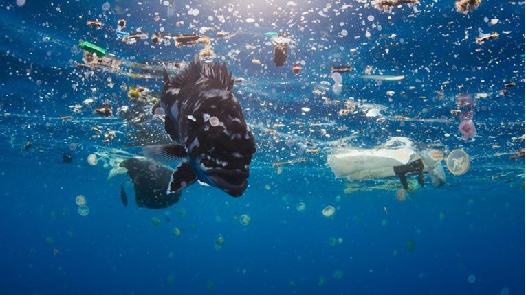 VIDEO Unatoč brizi pojedinih ljudi, u moru i dalje ima više plastike nego riba