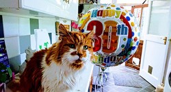 Ova žena mačka ima od 1988. godine i nije očekivala da će proslaviti njegov 30. rođendan