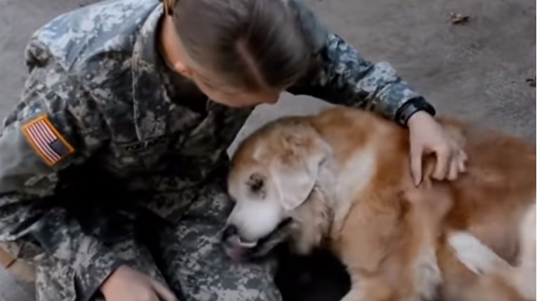 VIDEO Psi itekako imaju osjećaje i pokazuju ih na najljepši način
