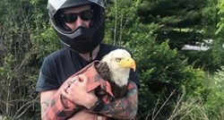 Spazio je bjeloglavog orla kako je zapeo u prometu i odlučio ga spasiti