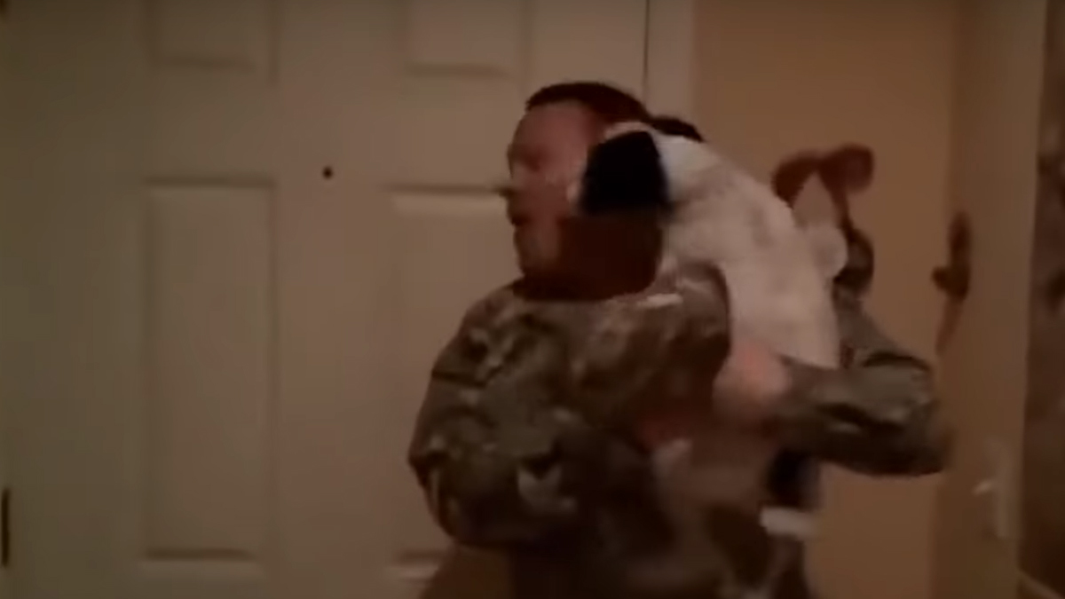 VIDEO Psi itekako imaju osjećaje i pokazuju ih na najljepši mogući način
