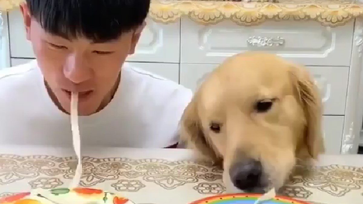 VIDEO Ovaj slatki pas uživa u večeri koja podsjeća na jedan poznati crtić