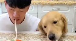 VIDEO Ovaj slatki pas uživa u večeri koja podsjeća na jedan poznati crtić