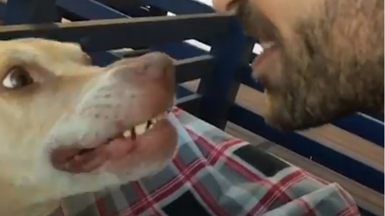VIDEO Ovaj pas se smije na zaista poseban način