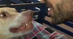 VIDEO Ovaj pas se smije na zaista poseban način
