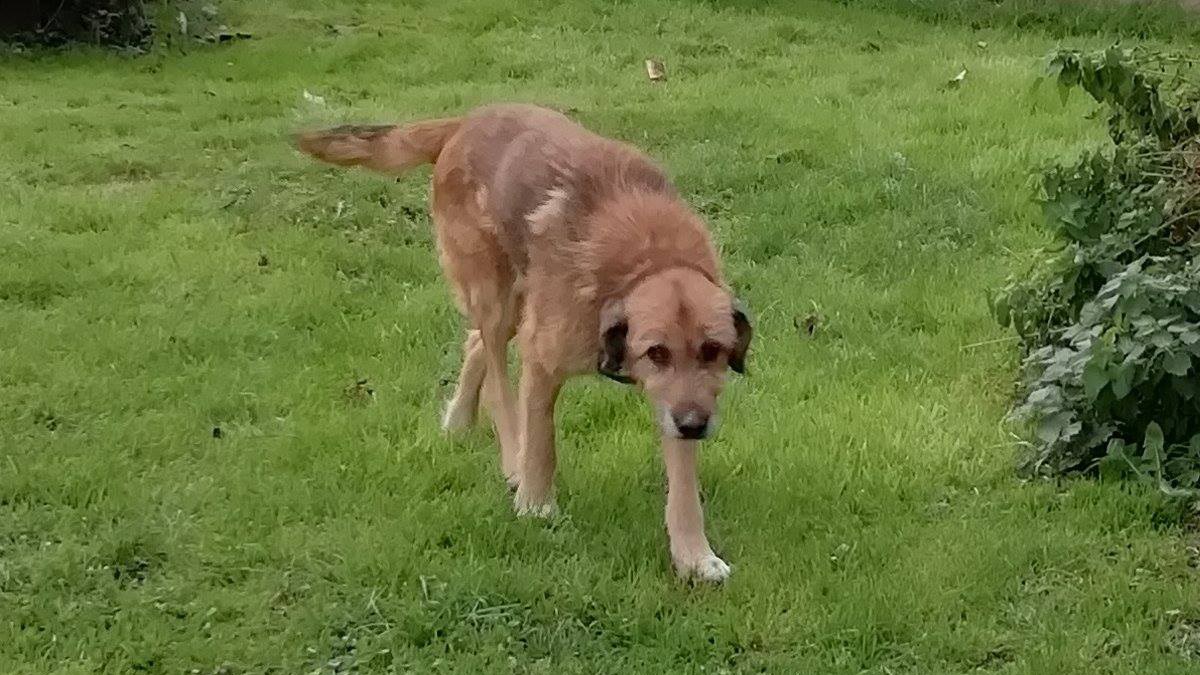 Većinu života je proveo na ulici, vrijeme je da pronađe obitelj