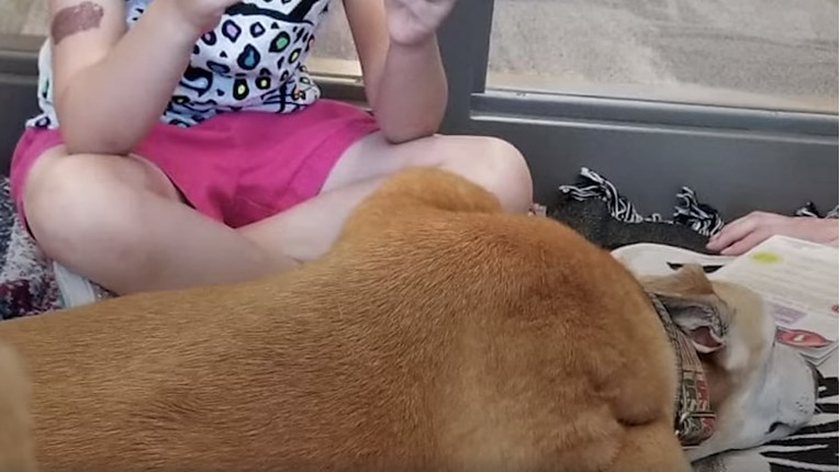 VIDEO Ovaj pas je na neobičan način postao terapijski