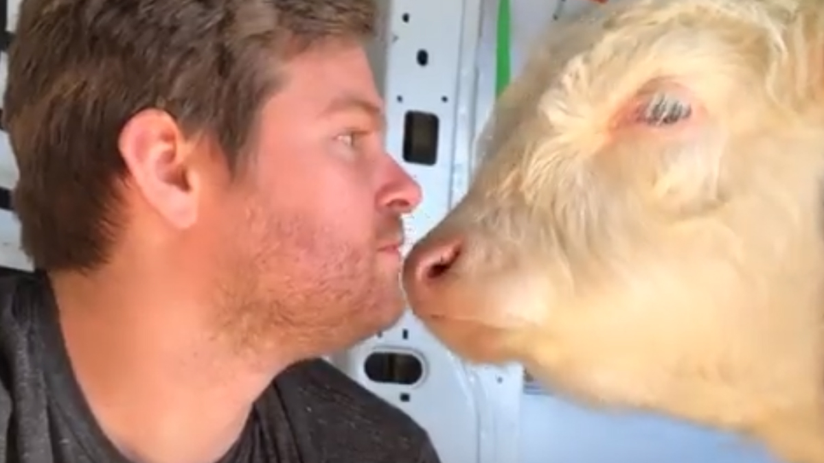 VIDEO Tele je bilo teško bolesno i samo mu je ovaj čovjek odlučio pomoći
