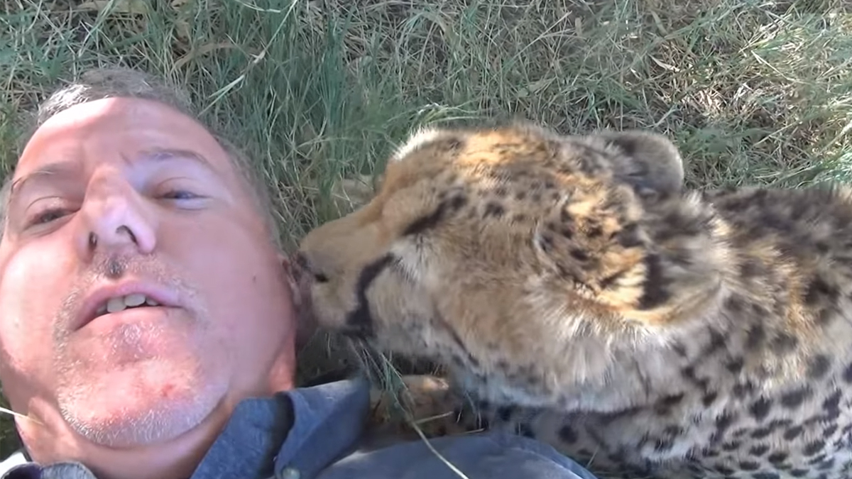VIDEO Čovjek je na trenutak zaspao pa dobio nesvakidašnje društvo