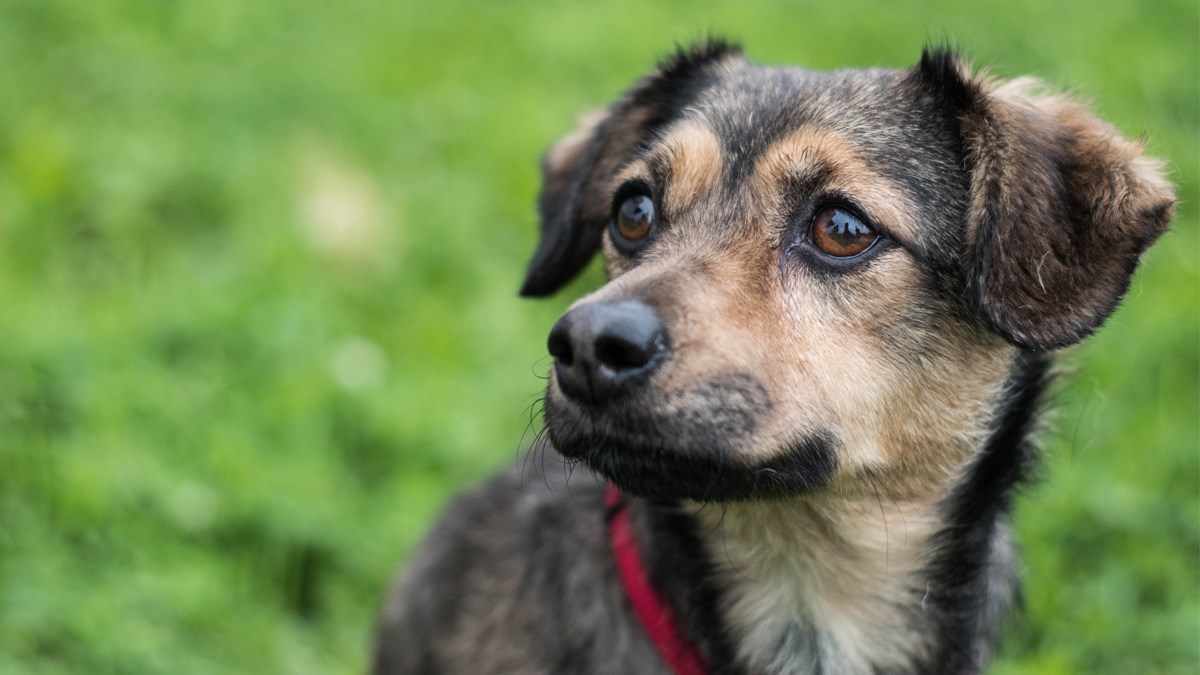 Pronađena je s ozlijeđenom kralježnicom, no ona je borac i želi živjeti